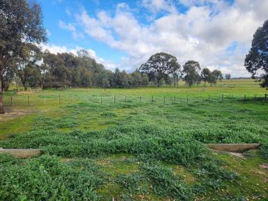 Lifestyle For Sale - VIC - Hilldene - 3660 - Peaceful Country Living on 40 acres, with Space to Grow (Image 2)