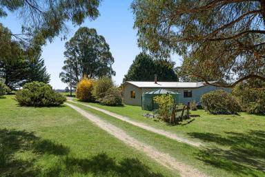 Other (Rural) Auction - NSW - Crookwell - 2583 - Spacious clouded home with character, versatility and entertaining spaces (Image 2)