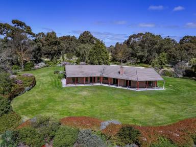 Acreage/Semi-rural For Sale - SA - Naracoorte - 5271 - A Private Paradise, 2 separate titles - 8.67 acres  (Image 2)