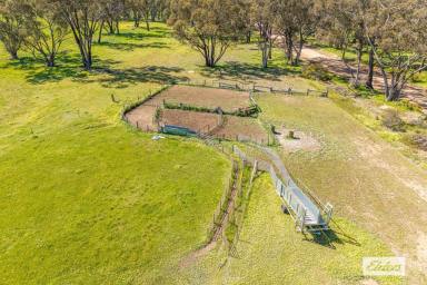 Other (Rural) For Sale - VIC - Kurting - 3517 - Cropping & Grazing  (Image 2)