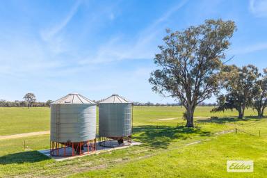 Other (Rural) For Sale - VIC - Kurting - 3517 - Cropping & Grazing  (Image 2)