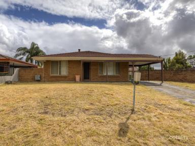 House For Sale - WA - Thornlie - 6108 - Spacious 3-Bedroom Home on a Generous 680m² Block (Image 2)