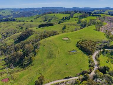 Other (Rural) For Sale - VIC - Allambee Reserve - 3871 - HILL COUNTRY GRAZING / RECREATION PROPERTY  (Image 2)