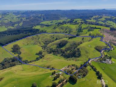 Other (Rural) For Sale - VIC - Allambee Reserve - 3871 - HILL COUNTRY GRAZING / RECREATION PROPERTY  (Image 2)