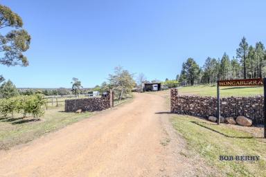 House For Sale - NSW - Dubbo - 2830 - Country Living Minutes from Dubbo with Exceptional River Water Security  (Image 2)