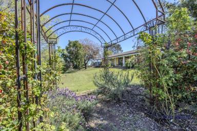 House For Sale - NSW - Dubbo - 2830 - Country Living Minutes from Dubbo with Exceptional River Water Security  (Image 2)