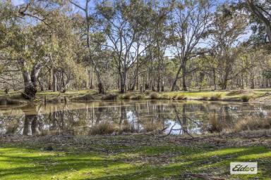 Residential Block For Sale - VIC - Deep Lead - 3385 - A Rare Rural Lifestyle Opportunity on the Edge of Town (Image 2)