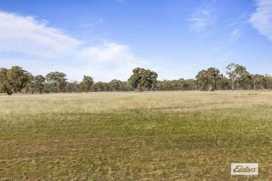 Residential Block For Sale - VIC - Deep Lead - 3385 - A Rare Rural Lifestyle Opportunity on the Edge of Town (Image 2)