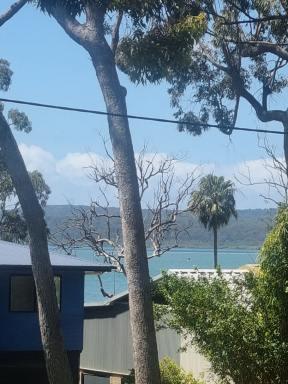 House For Sale - QLD - Macleay Island - 4184 - Queenslander with Water Glimpses and Dual Living Potential  (Image 2)