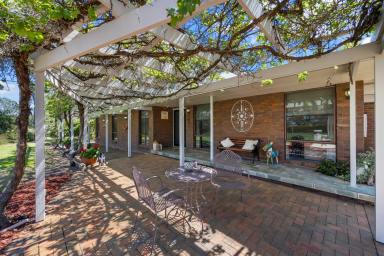 House Auction - NSW - Tamworth - 2340 - QUALITY LIFESTYLE LIVING MINUTES FROM TAMWORTH  (Image 2)