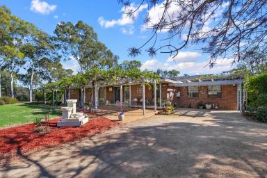 House Auction - NSW - Tamworth - 2340 - QUALITY LIFESTYLE LIVING MINUTES FROM TAMWORTH  (Image 2)