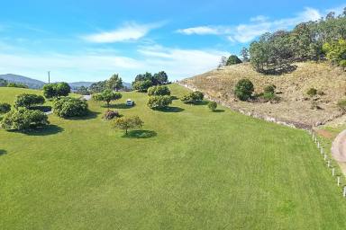 Residential Block For Sale - NSW - Kyogle - 2474 - BUILD YOUR DREAM HOME NOW!!  (Image 2)