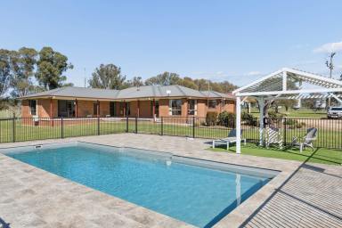 Lifestyle Auction - NSW - Young - 2594 - "Oakbank" - Turn the Key to your Own Fattening Operation (Image 2)