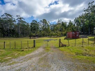 Residential Block For Sale - TAS - Quoiba - 7310 - Space, Privacy and Potential in Quoiba (Image 2)