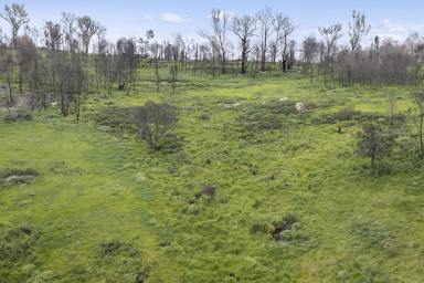 Lifestyle For Sale - VIC - Creightons Creek - 3666 - 27 Acres High in the Strathbogie Ranges (Image 2)