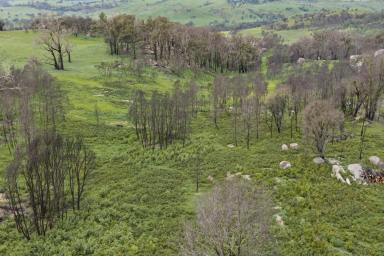 Lifestyle For Sale - VIC - Creightons Creek - 3666 - 27 Acres High in the Strathbogie Ranges (Image 2)