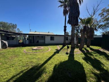 House Auction - NSW - Lightning Ridge - 2834 - 10 Potch Street, Lightning Ridge  (Image 2)