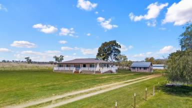 Lifestyle Auction - NSW - Tamworth - 2340 - 'PANAROO' - PEACEFUL ACREAGE LIVING ON TAMWORTH'S DOORSTEP  (Image 2)