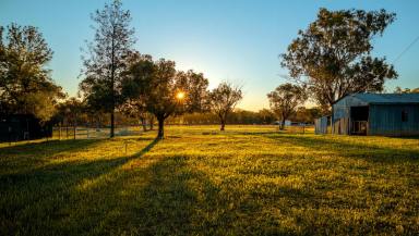 Lifestyle Auction - NSW - Tamworth - 2340 - 'PANAROO' - PEACEFUL ACREAGE LIVING ON TAMWORTH'S DOORSTEP  (Image 2)