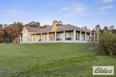 Other (Rural) For Sale - VIC - Langi Kal Kal - 3352 - A Remarkable Lifestyle Property Surrounded by Country  (Image 2)