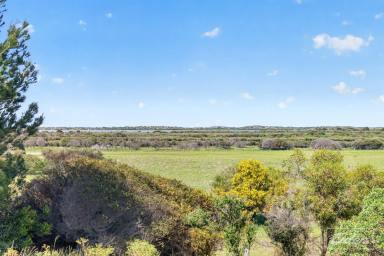 Lifestyle For Sale - SA - Hindmarsh Island - 5214 - Private 80-Acre Hindmarsh Island Escape | Approx. 40,000 Native Trees | Waterway Views  (Image 2)