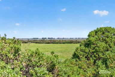 Lifestyle For Sale - SA - Hindmarsh Island - 5214 - Private 80-Acre Hindmarsh Island Escape | Approx. 40,000 Native Trees | Waterway Views  (Image 2)