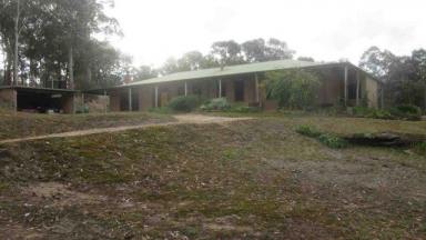 Lifestyle For Sale - VIC - Valencia Creek - 3860 - Mudbrick Home on 40 Acre Lifestyle Property in Gippsland  (Image 2)