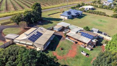 Cropping For Sale - QLD - Redridge - 4660 - TWO HOMES, ONE PROPERTY - THE ULTIMATE DUAL-LIVING LIFESTYLE ON 1.5 ACRES  (Image 2)