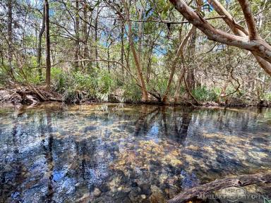 Residential Block For Sale - QLD - Mareeba - 4880 - Creek Frontage, Elevated Views - Lifestyle & Grazing Block – Cairns Side of Mareeba  (Image 2)