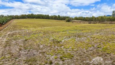 Residential Block For Sale - QLD - Mareeba - 4880 - Creek Frontage, Elevated Views - Lifestyle & Grazing Block – Cairns Side of Mareeba (Image 2)