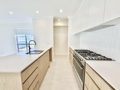 House For Lease - NSW - Old Bar - 2430 - Spacious Modern Home with Media Room  (Image 2)
