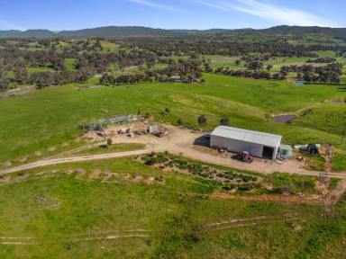 Other (Rural) For Sale - NSW - Tumut - 2720 - Rural Lifestyle Opportunity!  (Image 2)