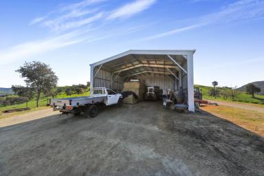Other (Rural) For Sale - NSW - Tumut - 2720 - Rural Lifestyle Opportunity!  (Image 2)