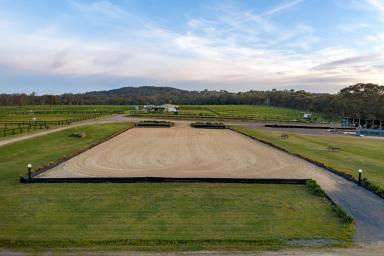 Lifestyle For Sale - VIC - Euroa - 3666 - Premier Equine Property | 21Ha (53 Acres)  (Image 2)