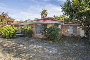 House For Sale - WA - Ballajura - 6066 - THE CHEAPEST BALLAJURA HOME ON THE MARKET (Image 2)