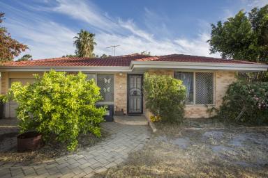 House For Sale - WA - Ballajura - 6066 - THE CHEAPEST BALLAJURA HOME ON THE MARKET (Image 2)