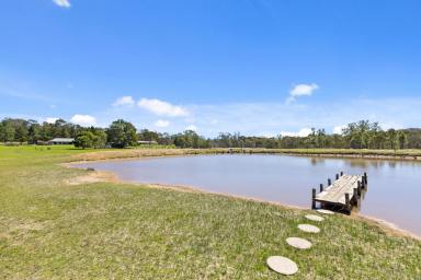 Lifestyle For Sale - NSW - Mudgee - 2850 - 2 HOUSES, CREEK FRONTAGE AND STUNNING ACREAGE (Image 2)