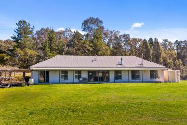 Lifestyle For Sale - NSW - Mudgee - 2850 - 2 HOUSES, CREEK FRONTAGE AND STUNNING ACREAGE (Image 2)