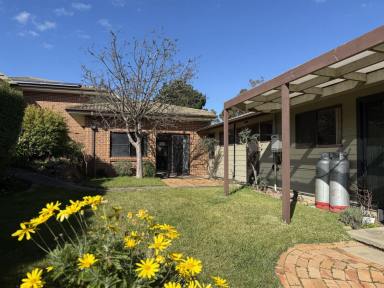 House For Lease - NSW - Gundaroo - 2620 - Country Cottage north of Gundaroo  (Image 2)