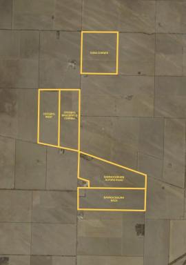 Cropping For Sale - SA - Alford - 5555 - PRODUCTIVE ARABLE LAND (Image 2)