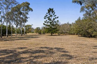 Residential Block For Sale - QLD - Glenvale - 4350 - Design Your Dream Home on 3,641m²  (Image 2)