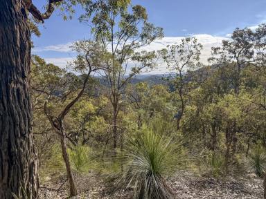 Lifestyle For Sale - NSW - Laguna - 2325 - 160 Acres of Ridgetop Paradise  (Image 2)