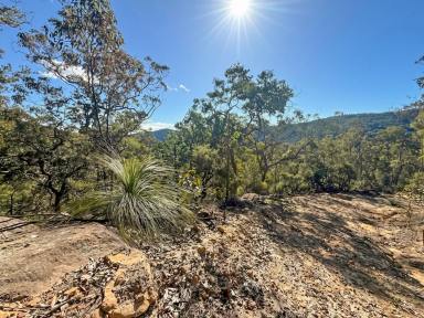 Lifestyle For Sale - NSW - Laguna - 2325 - 160 Acres of Ridgetop Paradise  (Image 2)
