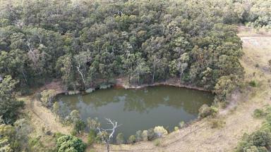 Mixed Farming For Sale - NSW - New Italy - 2472 - A Rare North Coast Holding of Scale, Natural Beauty & Opportunity  (Image 2)
