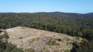Mixed Farming For Sale - NSW - New Italy - 2472 - A Rare North Coast Holding of Scale, Natural Beauty & Opportunity  (Image 2)