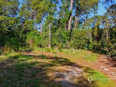 Residential Block For Sale - VIC - Foster - 3960 - 2.5-Acre Bushland Retreat on the Edge of Town  (Image 2)