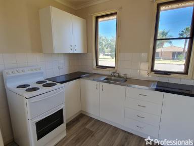 House For Lease - NSW - West Tamworth - 2340 - 25 Sue Crescent - West Tamworth  (Image 2)