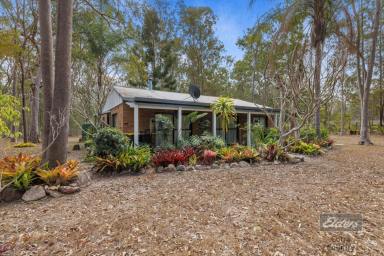 House For Sale - QLD - Curra - 4570 - OVER 8 ACRES OF TRANQUIL COUNTRY LIVING (Image 2)