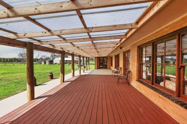 Livestock For Sale - VIC - Breakaway Creek - 3303 - Premium Rural Lifestyle & Stud Livestock Opportunity  (Image 2)