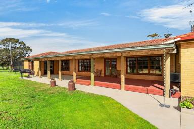 Livestock For Sale - VIC - Breakaway Creek - 3303 - Premium Rural Lifestyle & Stud Livestock Opportunity  (Image 2)